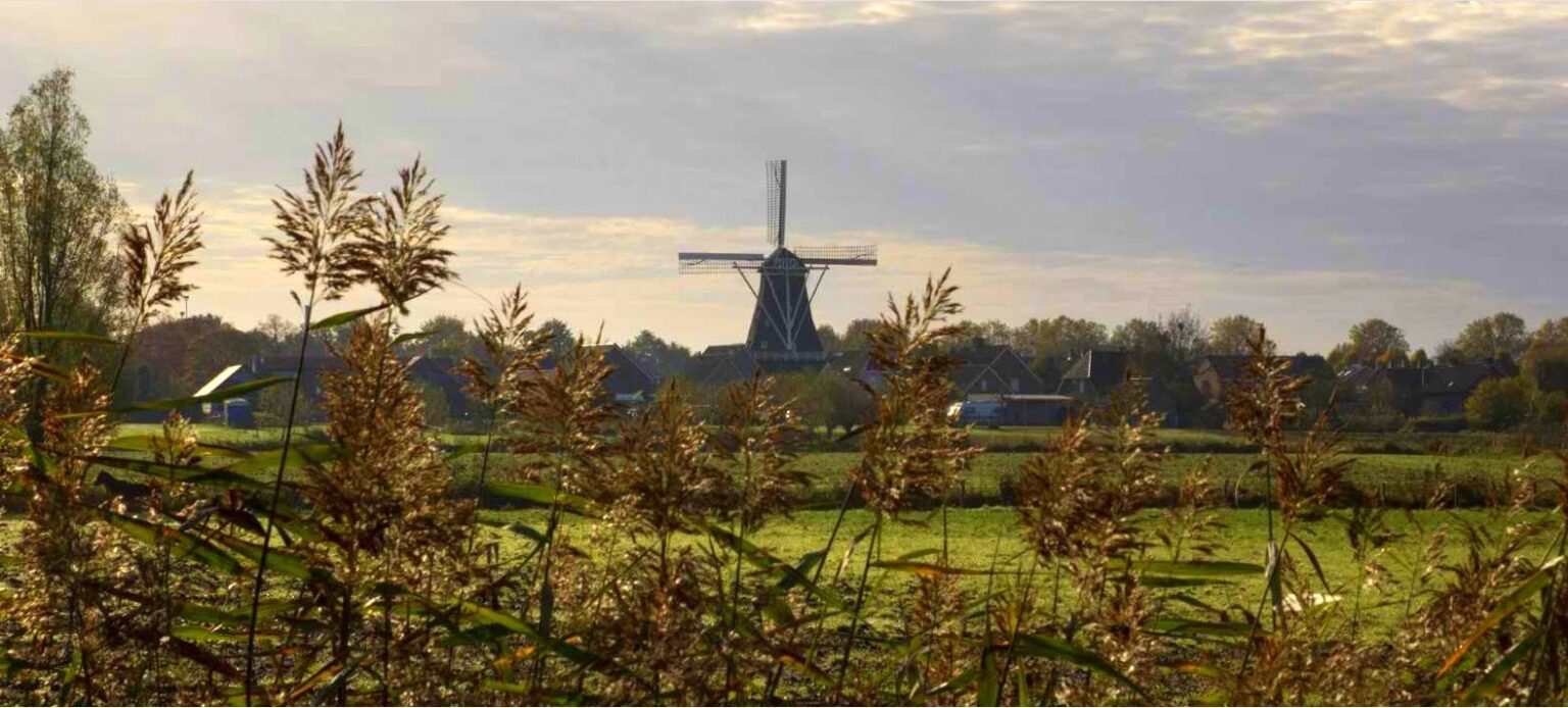 De Hoop Swartbroek KempenBroek VZW